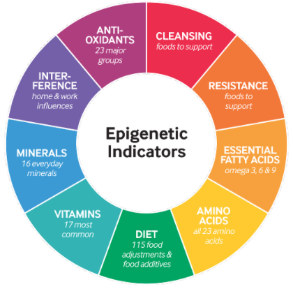 Epigenetic Wellness Check Up